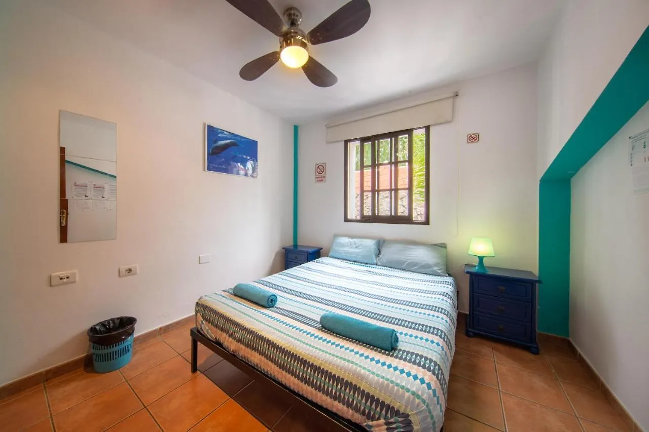 La Tortuga Hostel Costa Adeje  0*, Costa Adeje (Tenerife) Spagna