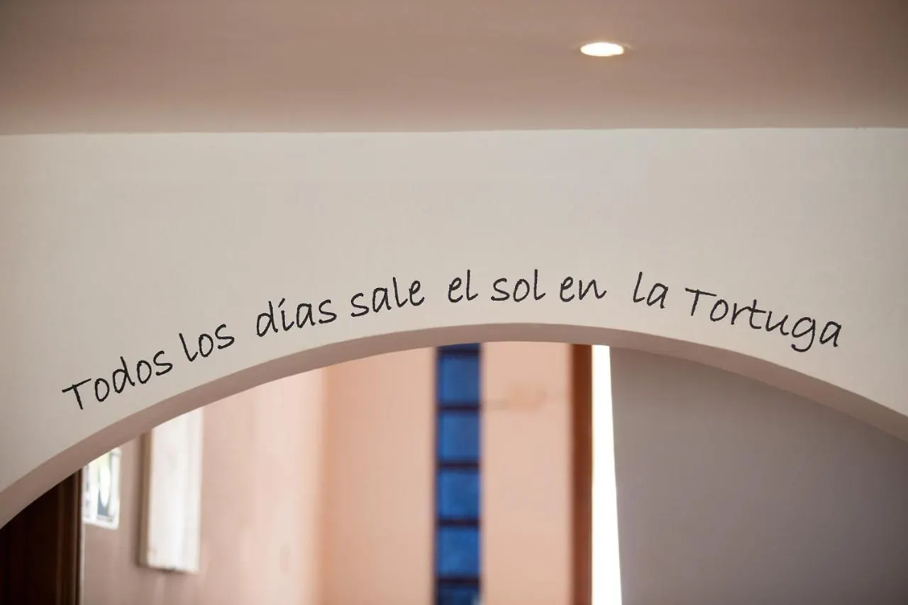 La Tortuga Hostel Costa Adeje  Spagna