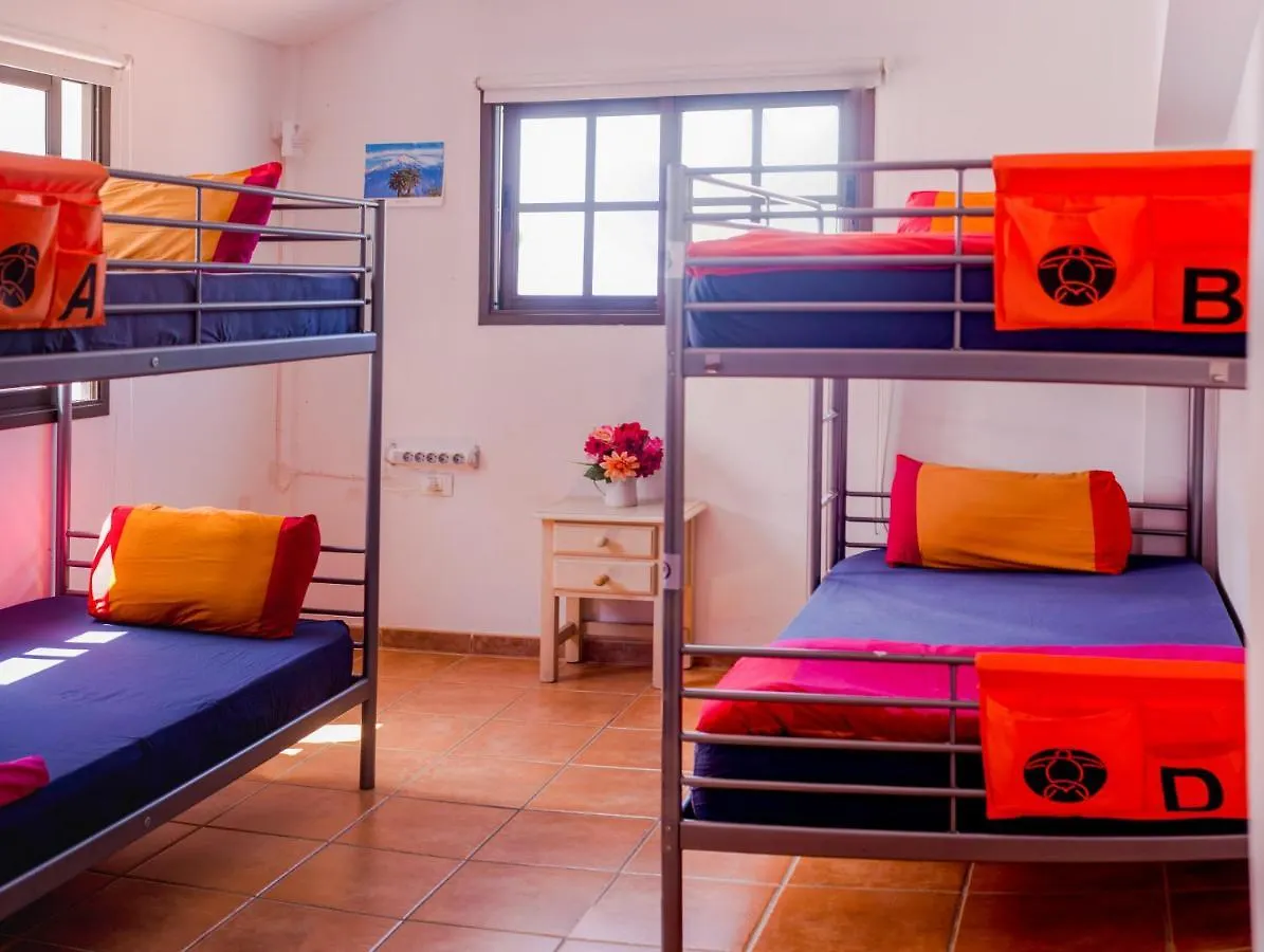 La Tortuga Hostel Costa Adeje